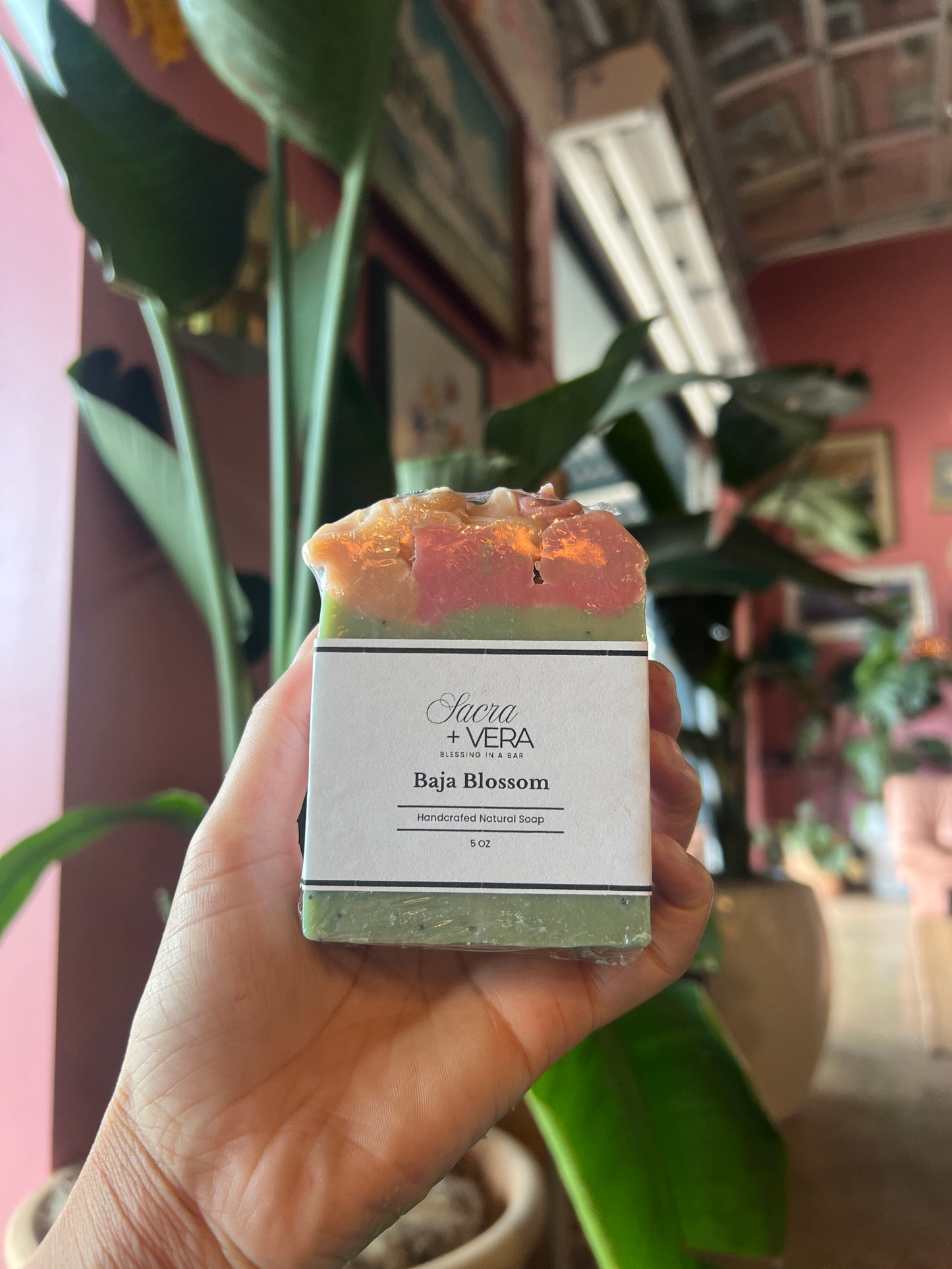 NEW Baja Blossom Body Bar