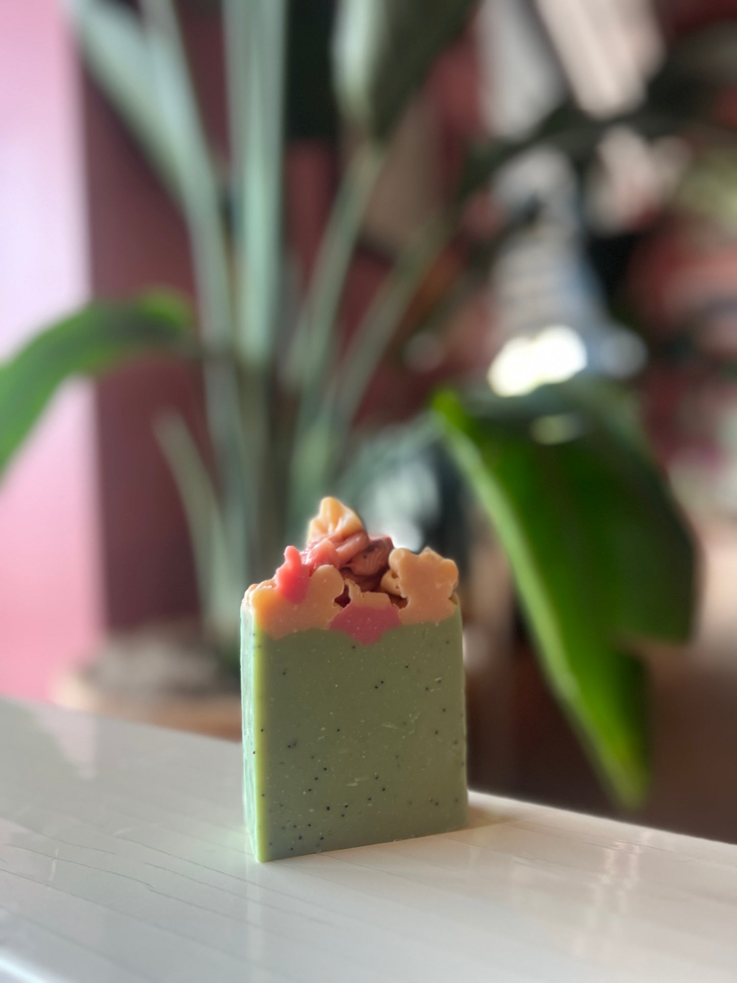 NEW Baja Blossom Body Bar