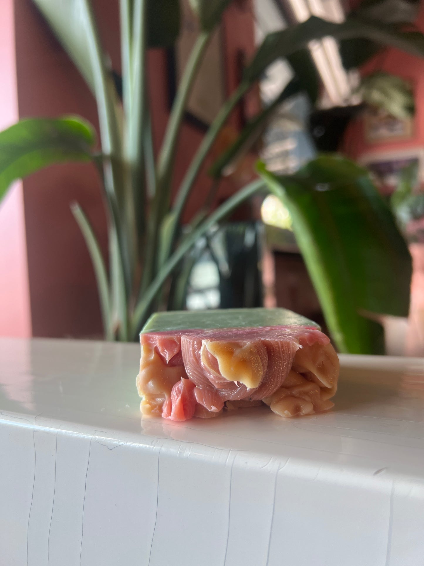 NEW Baja Blossom Body Bar